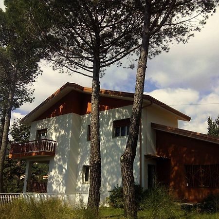 Bed and Breakfast Il Giardino Di Leoca Nicolosi Zewnętrze zdjęcie