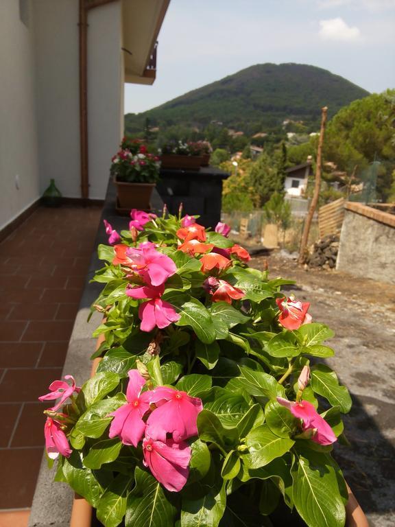 Bed and Breakfast Il Giardino Di Leoca Nicolosi Zewnętrze zdjęcie